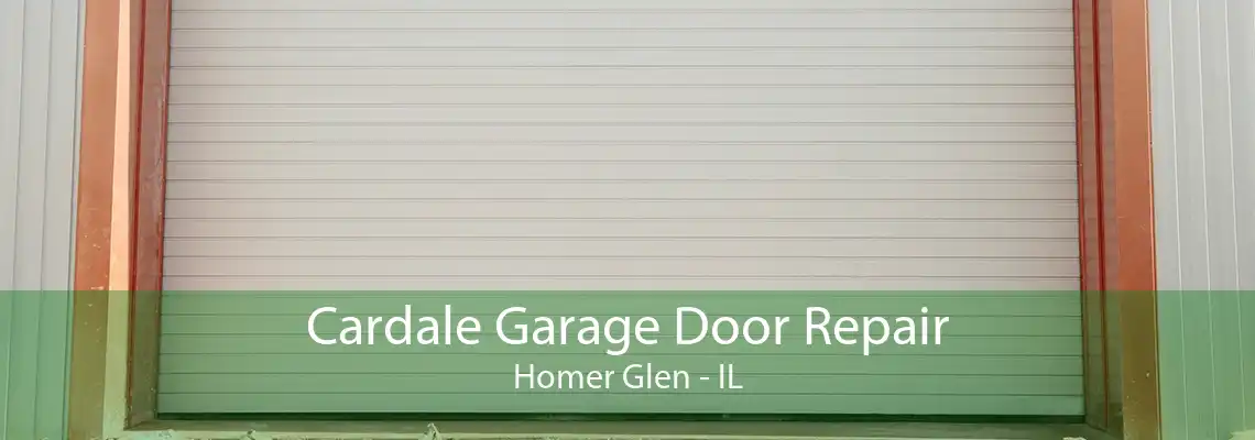 Cardale Garage Door Repair Homer Glen - IL