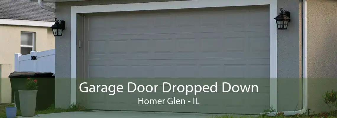 Garage Door Dropped Down Homer Glen - IL