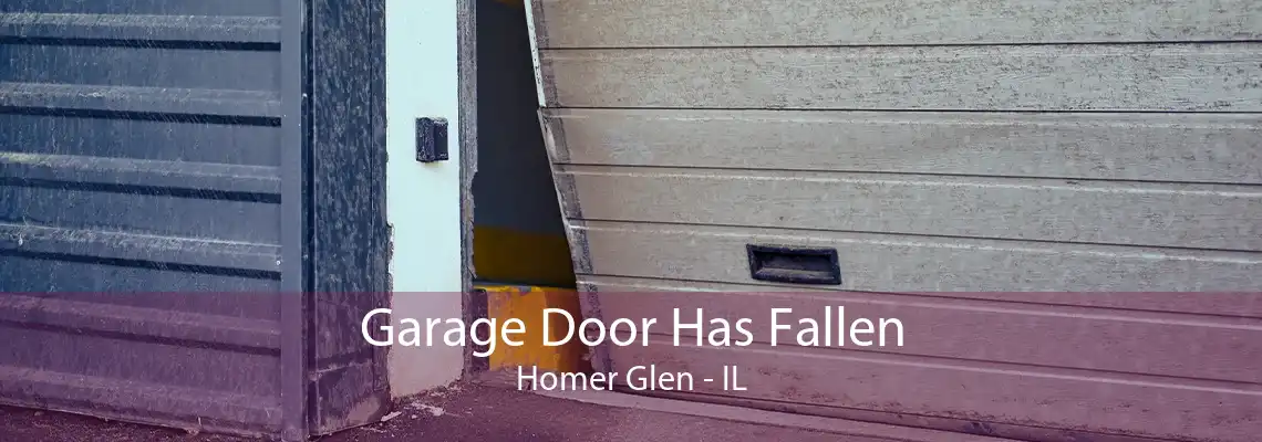 Garage Door Has Fallen Homer Glen - IL