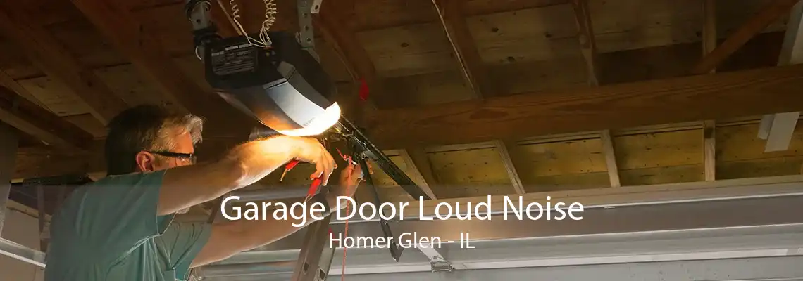 Garage Door Loud Noise Homer Glen - IL