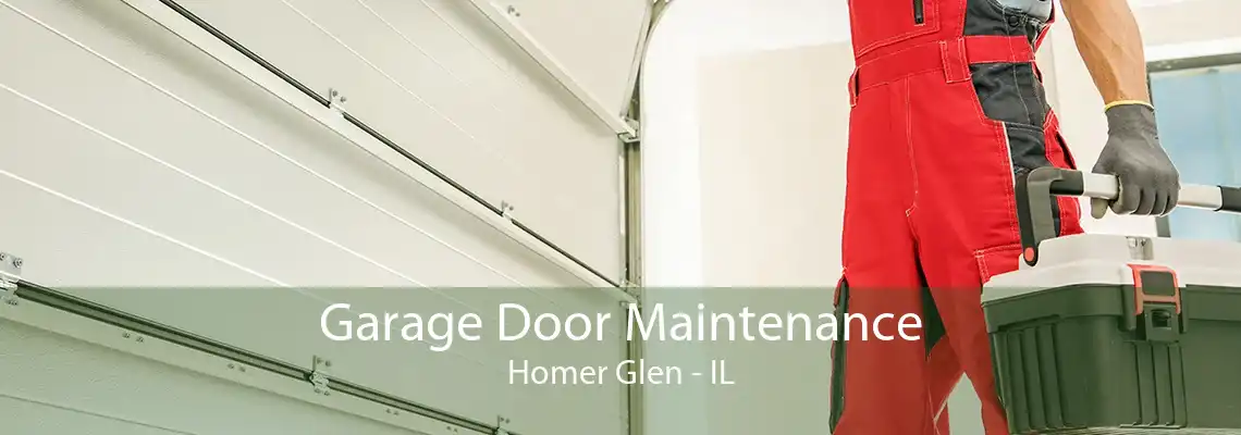 Garage Door Maintenance Homer Glen - IL