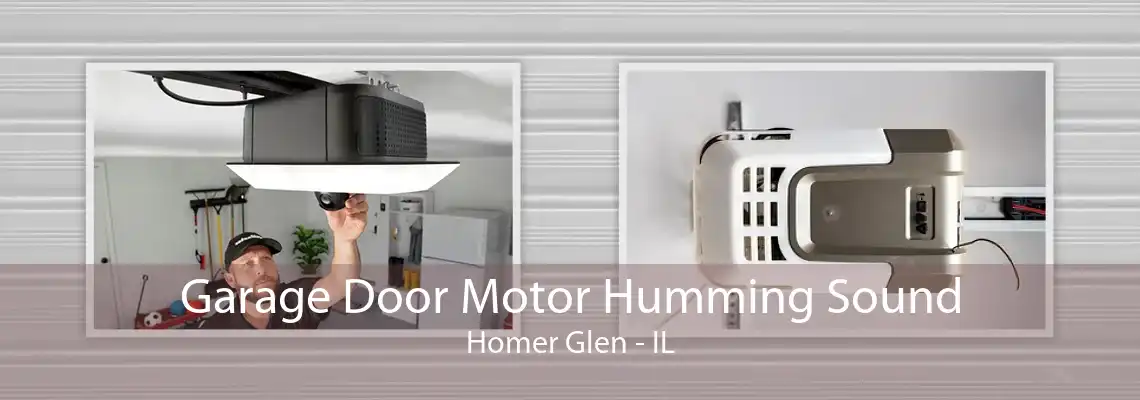 Garage Door Motor Humming Sound Homer Glen - IL