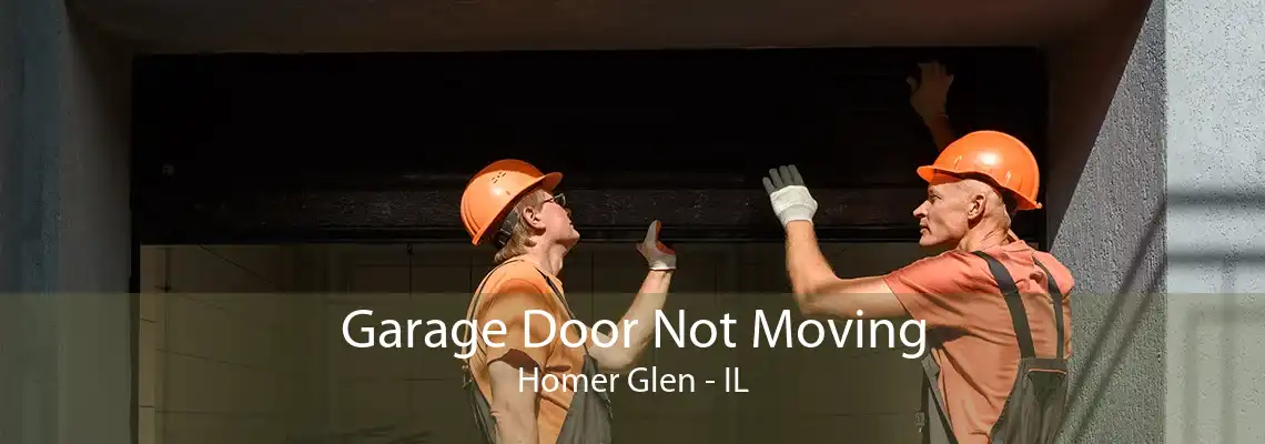 Garage Door Not Moving Homer Glen - IL