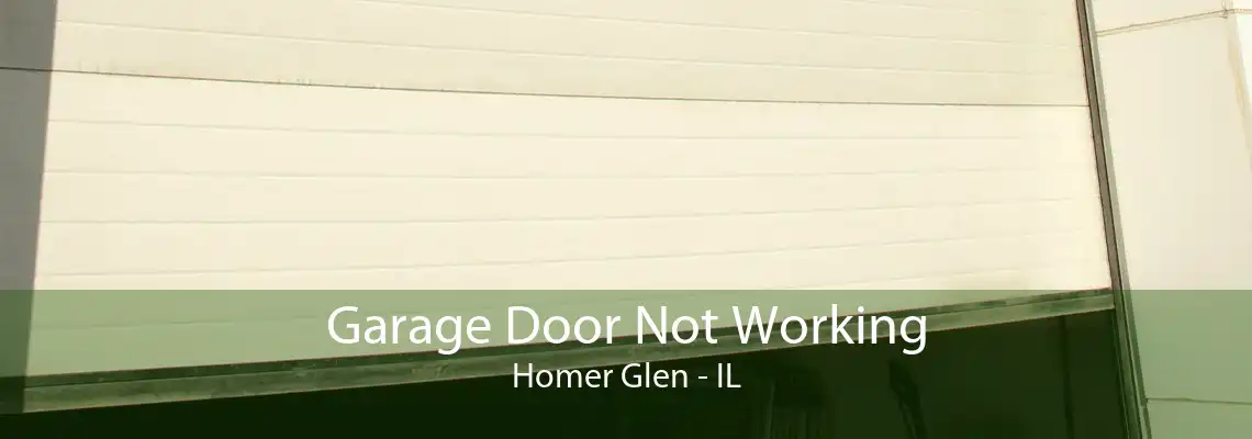 Garage Door Not Working Homer Glen - IL