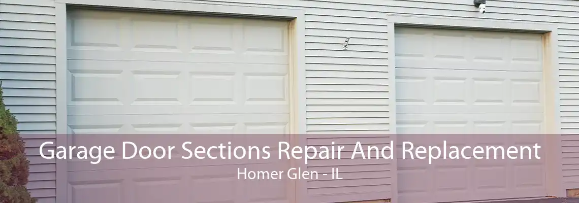 Garage Door Sections Repair And Replacement Homer Glen - IL