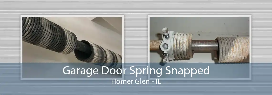 Garage Door Spring Snapped Homer Glen - IL