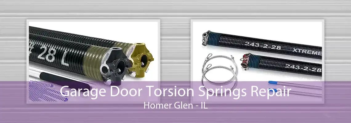 Garage Door Torsion Springs Repair Homer Glen - IL