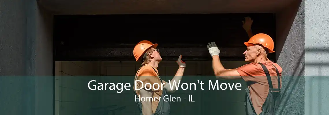 Garage Door Won't Move Homer Glen - IL