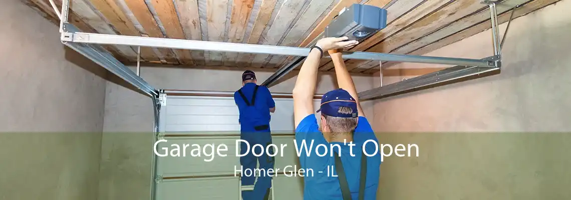 Garage Door Won't Open Homer Glen - IL