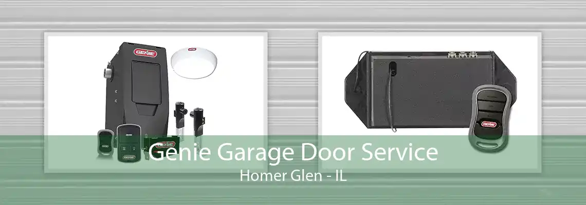 Genie Garage Door Service Homer Glen - IL