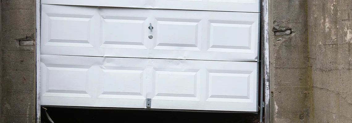 Garage Door Got Hit By A Car Dent Removal in Homer Glen, IL