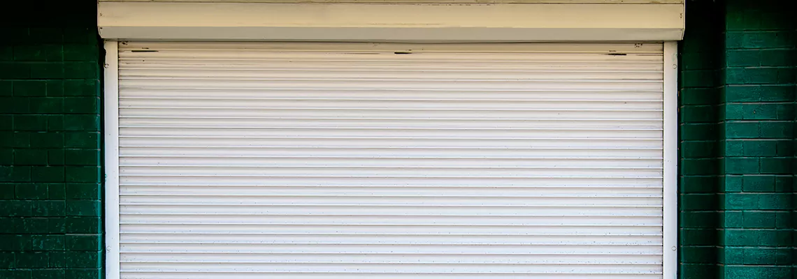 Rolling Steel Door Replacement in Homer Glen, Illinois